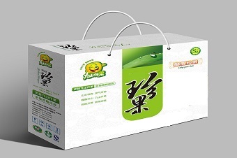 茶橄榄5KG广东广州